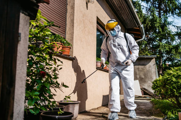 Best Cockroach Control Services  in Onalaska, WI
