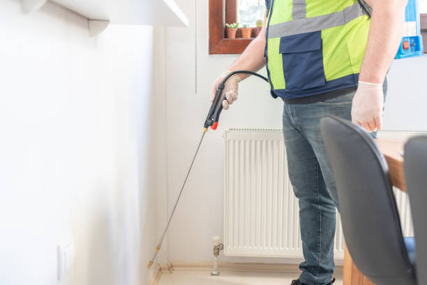 Best Wasp Removal Services  in Onalaska, WI