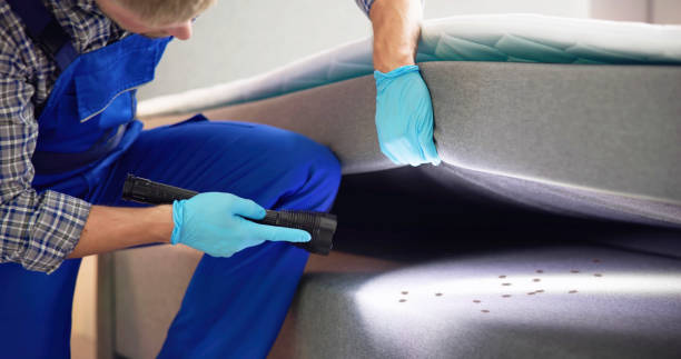 Best Affordable Pest Control Services  in Onalaska, WI