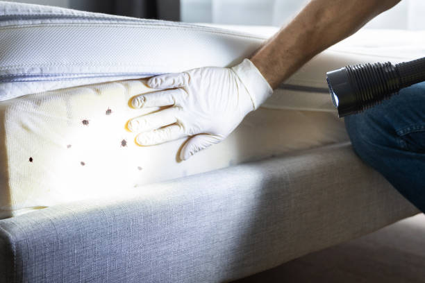 Best Emergency Pest Control  in Onalaska, WI