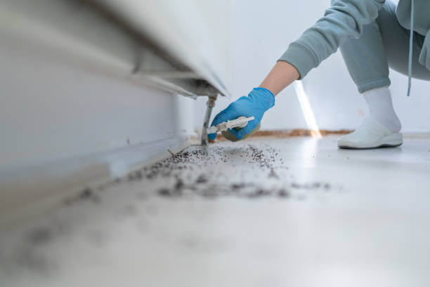 Best Emergency Pest Control  in Onalaska, WI